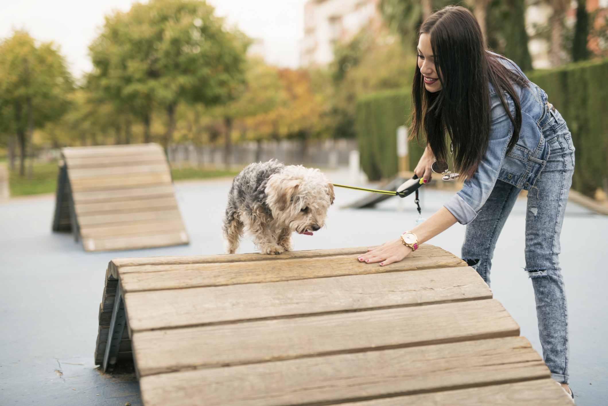 no-breed-restrictions-apartment-pet-policies-at-maa